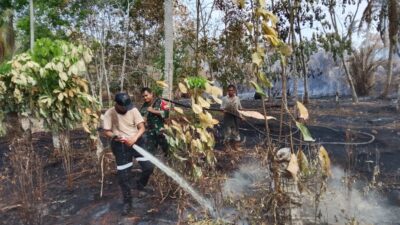 Kodam XIX Tuanku Tambusai Gerak Cepat Padamkan Karhutla di Rangsang