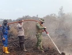 Kodam XIX Tuanku Tambusai Gerakkan 310 Personel, Karhutla Pelalawan Terus Ditangani