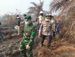 Tinjau Karhutla di Siak, Pangdam XIX/TT dan Kapolda Riau Pastikan Penanganan Berlanjut