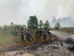 Kodam XIX/Tuanku Tambusai Bersama Tim Terpadu Berjibaku Kendalikan Karhutla di Enam Titik