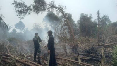 Kodam XIX/Tuanku Tambusai Percepat Penanganan Karhutla di Dua Wilayah, Pendinginan Terus Dilakukan