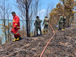 Karhutla di Sagulung Batam Berangsur Terkendali, Tim Gabungan Fokus Pendinginan