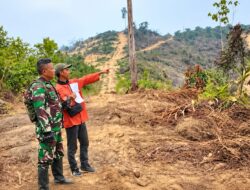Kodam XIX/Tuanku Tambusai Pastikan Firespot di Kampar Aman, Verifikasi Lapangan Ungkap Tak Ada Indikasi Karhutla