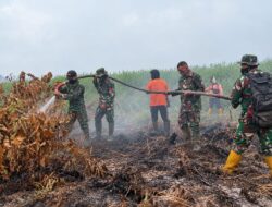 16 Hektare Lahan Terbakar di Inhil dan Inhu, Pendinginan Terus Berlanjut