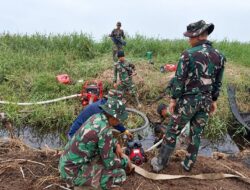 Sinergi TNI-Polri dan Tim Gabungan Tangani Karhutla di Kampung Pulau