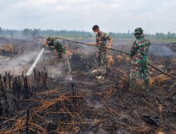 TNI-Polri dan Tim Gabungan Pastikan Penanganan Karhutla di Kampung Pulau Berlanjut