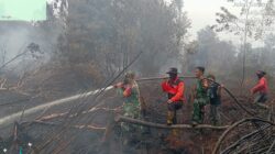 Karhutla di Bengkalis Meluas, Tim Gabungan Berjuang Padamkan Api di Lahan Gambut