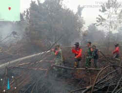 Karhutla di Bengkalis Meluas, Tim Gabungan Berjuang Padamkan Api di Lahan Gambut