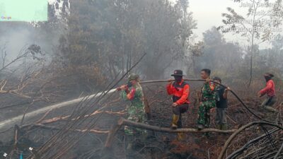 Karhutla di Bengkalis Meluas, Tim Gabungan Berjuang Padamkan Api di Lahan Gambut